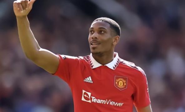 敏锐嗅觉 敏锐嗅觉